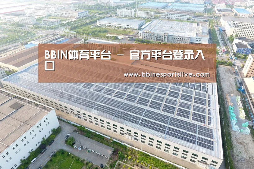 案例展示一