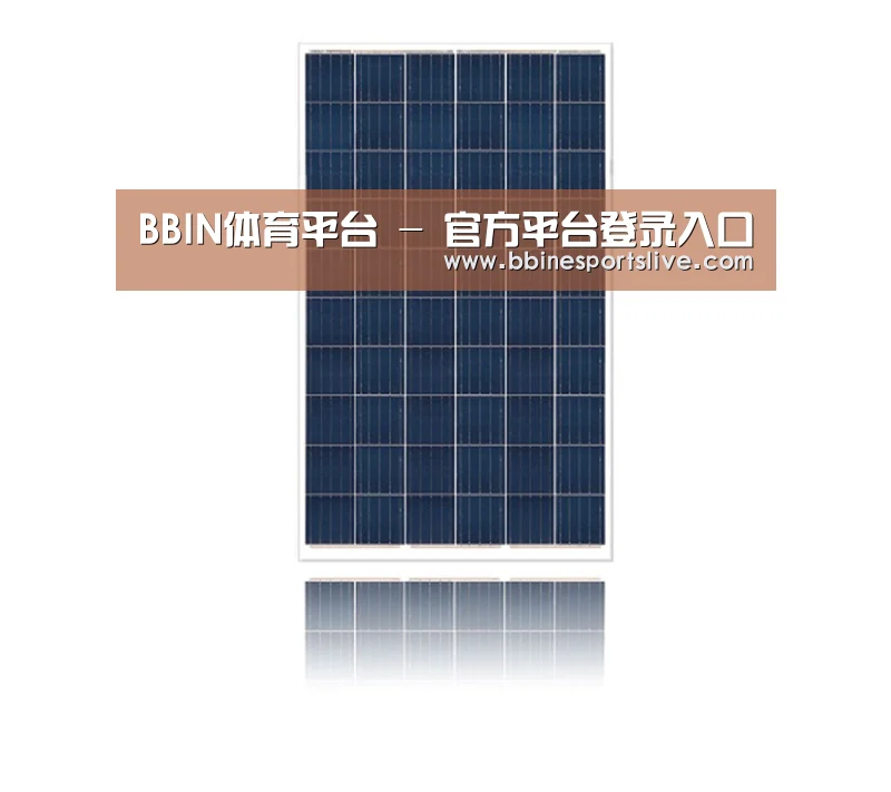 产品名称一