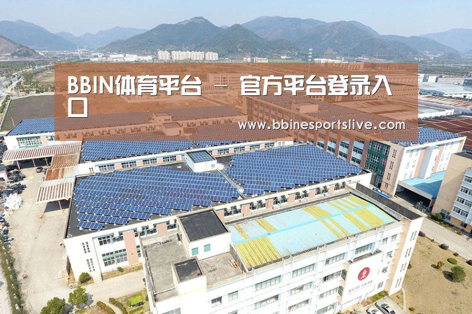 案例展示四
