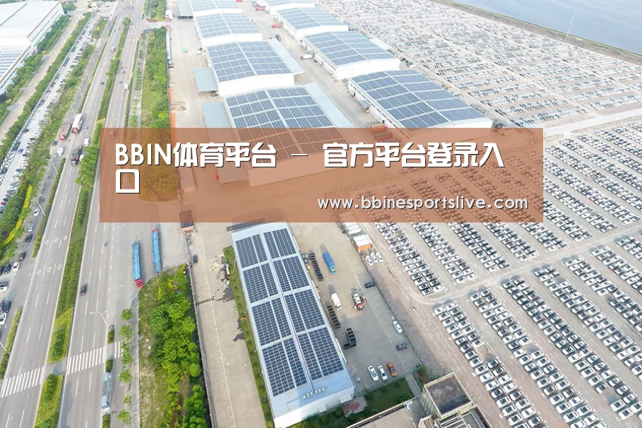 案例展示一