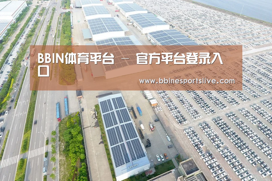 案例展示二